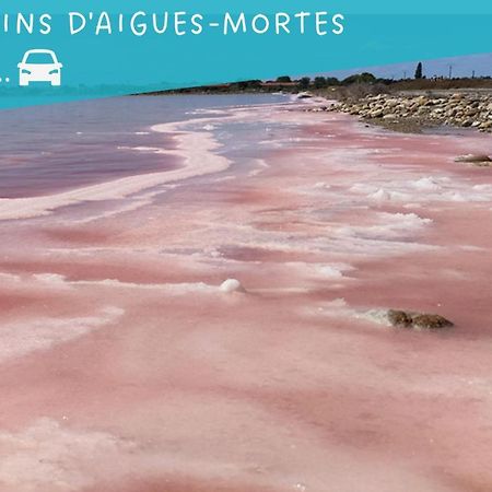 Le Flamant Rose - Cosykaz Aigues-Mortes Exterior foto