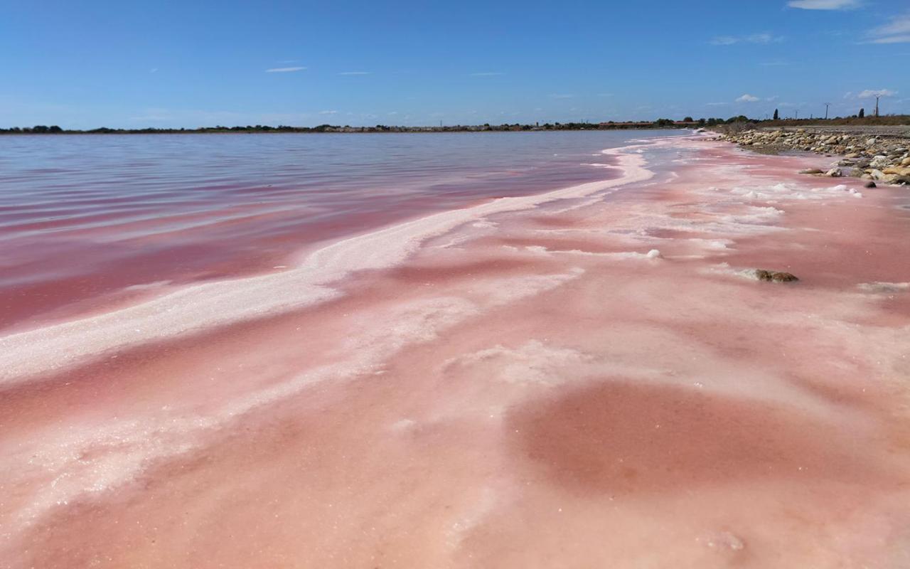Le Flamant Rose - Cosykaz Aigues-Mortes Exterior foto